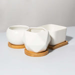 Minimalistic Ceramic White Signature Planter Bundle Verdant Lyfe