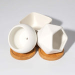 Minimalistic Ceramic White Signature Planter Bundle Verdant Lyfe