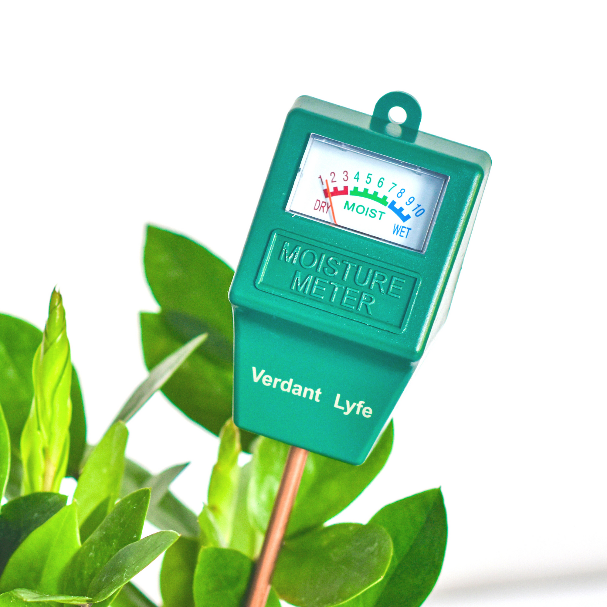 moisture meter level for zz plant Soil Moisture Meter Overwatering Plant Saver