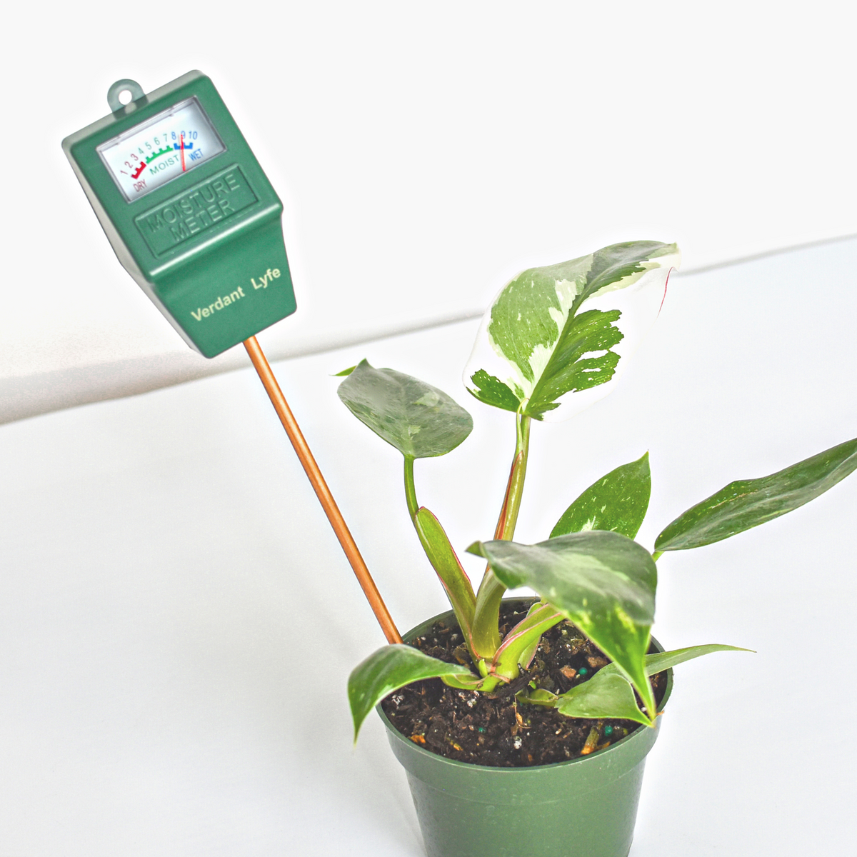 Soil Moisture Meter 
