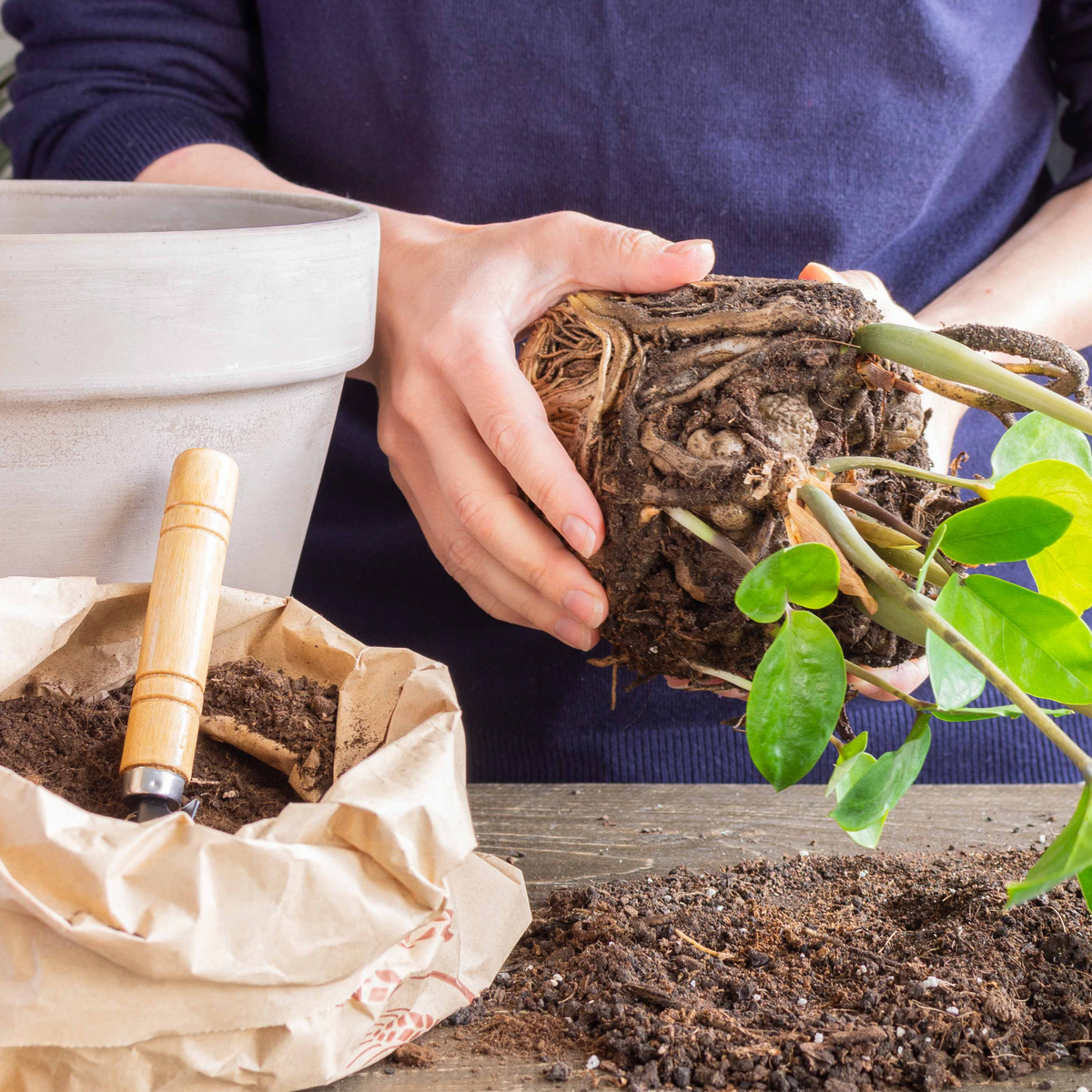  Soil Mix