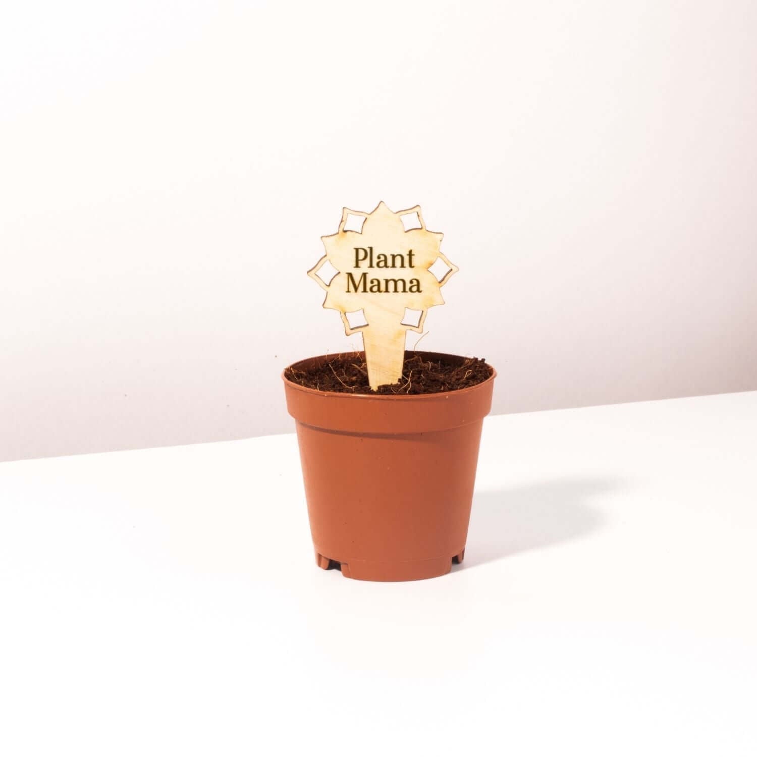 Plant Mama Plant Stake -Included with Bundle!