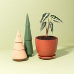 Marie Oval Terracotta Minimalist Planter - Empty Verdant Lyfe