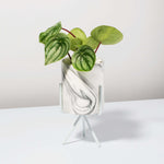 Olympia Ceramic Planter Marble Effect - Empty Verdant Lyfe