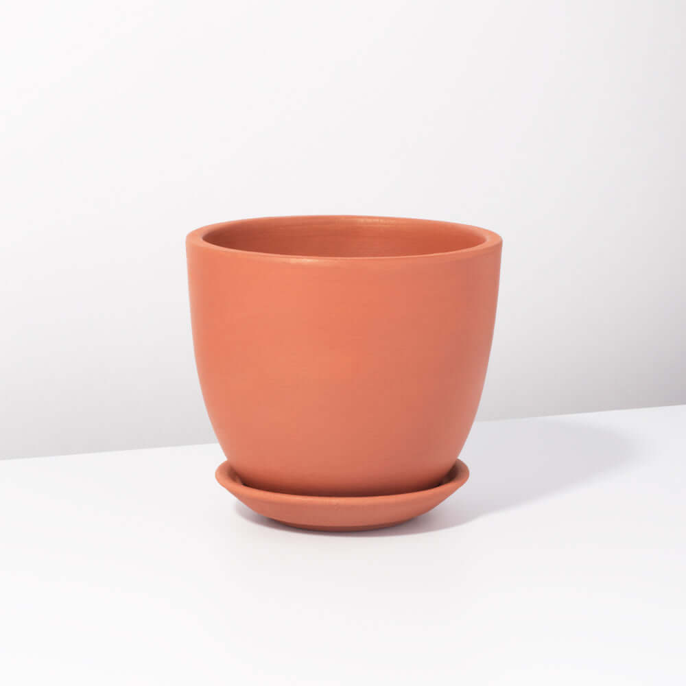 Marie Oval Terracotta Minimalist Planter - Empty Verdant Lyfe
